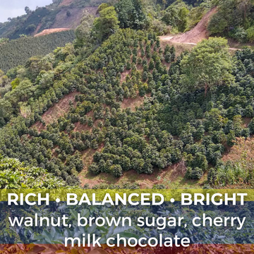 Colombia Tolima Finca San Sebastian Organic